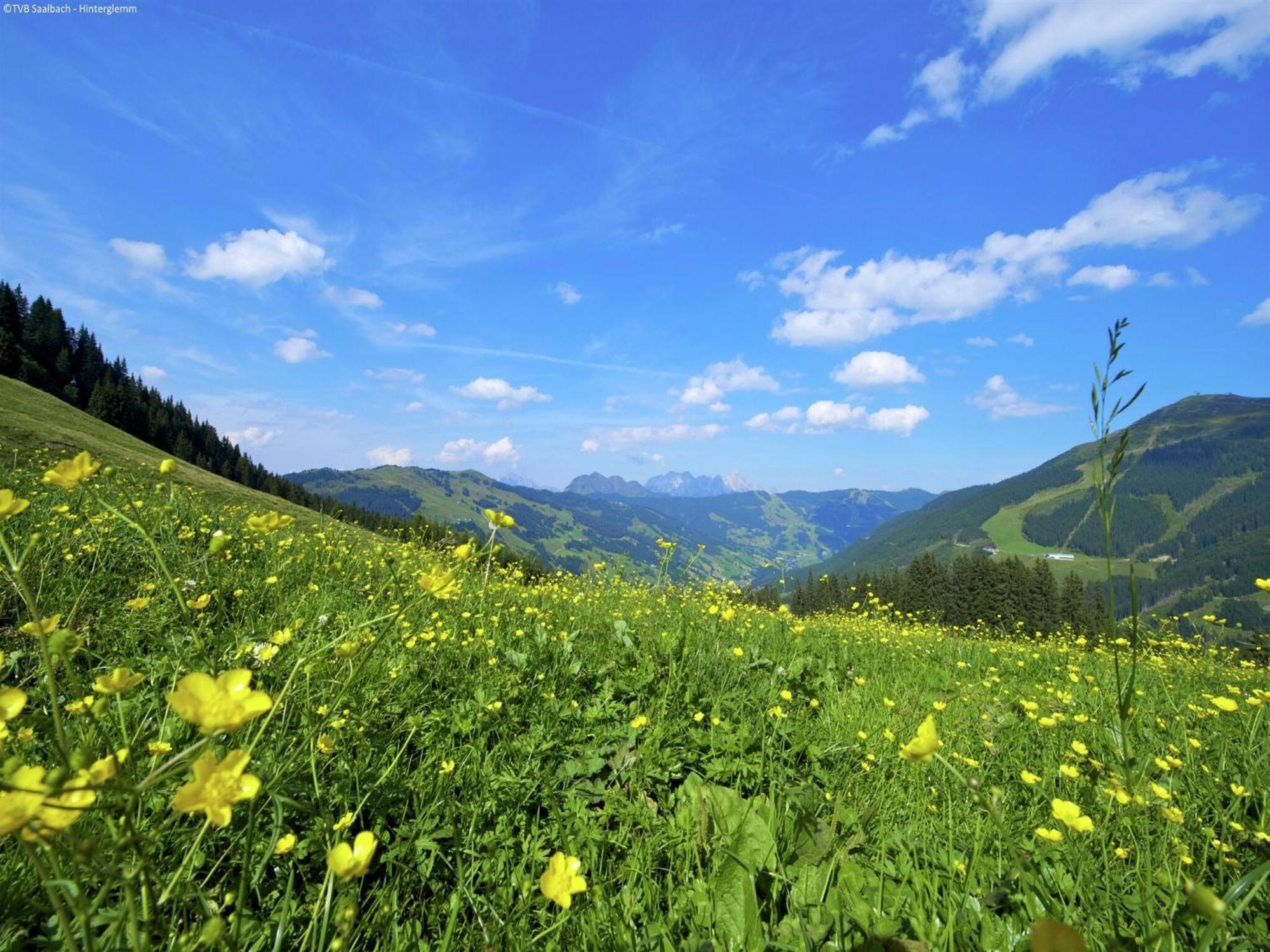 Apartment In Saalbach Hinterglemm Near Ski Area מראה חיצוני תמונה